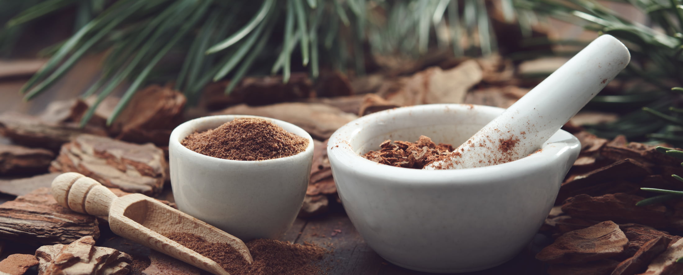 Pine Bark Ingredient background